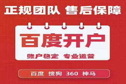 某电商企业如何通过百度竞价广告提升销售额
